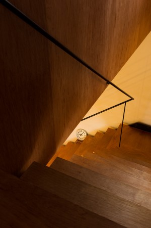 House to catch the tree by Takeru Shoji Architects