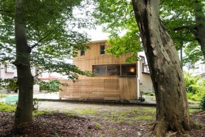 House to catch the tree by Takeru Shoji Architects