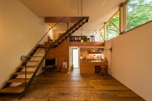 House to catch the tree by Takeru Shoji Architects