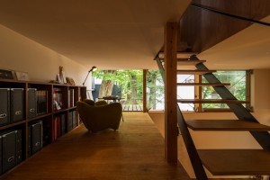 House to catch the tree by Takeru Shoji Architects