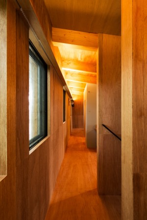 House to catch the tree by Takeru Shoji Architects