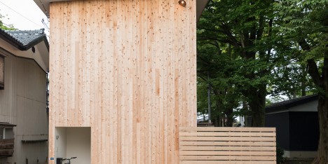 House to catch the tree by Takeru Shoji Architects