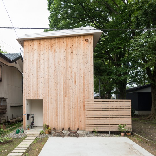 House to catch the tree by Takeru Shoji Architects