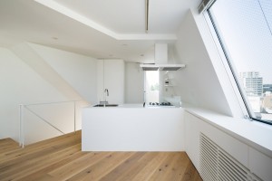 Kitasenzoku Apartment by Tomoyuki Kurokawa Architects