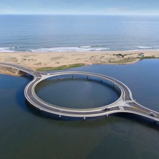 Laguna Garzon Bridge by Rafael Vinoly