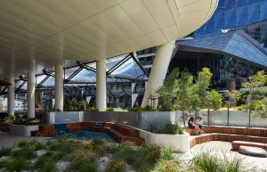 Medibank Workplace by Hassell