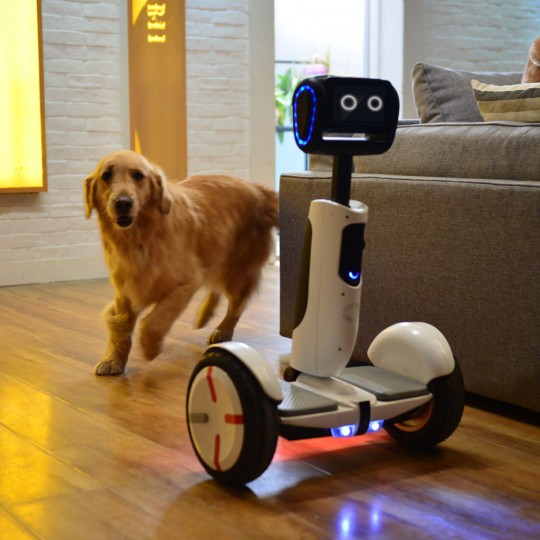 Ninebot by Segway