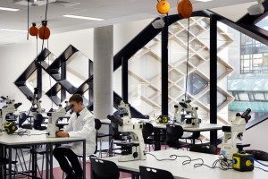 The University of Sheffield by Twelve Architects