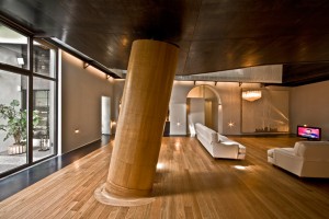Tree House apartment by MdAA