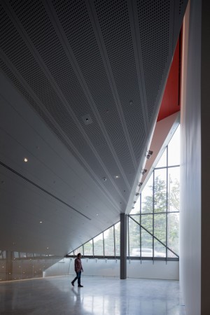 The University of California at Berkeley Art Museum and Pacific Film Archive