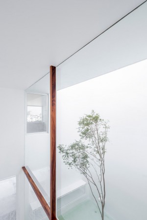 V House by Abraham Cota Paredes