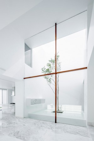 V House by Abraham Cota Paredes