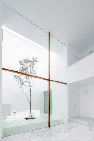 V House by Abraham Cota Paredes
