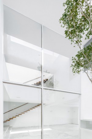 V House by Abraham Cota Paredes