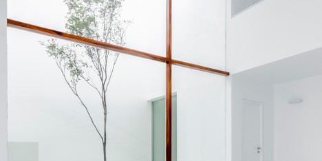 V House by Abraham Cota Paredes