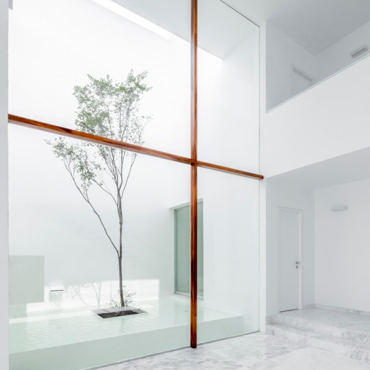 V House by Abraham Cota Paredes