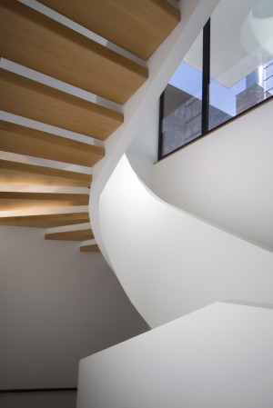 The White Snake by Space4architecture