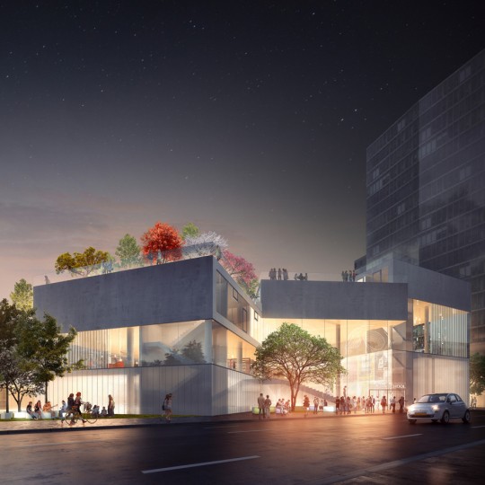 The Wilson School, Arlington by BIG