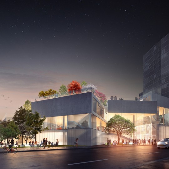 The Wilson School, Arlington by BIG