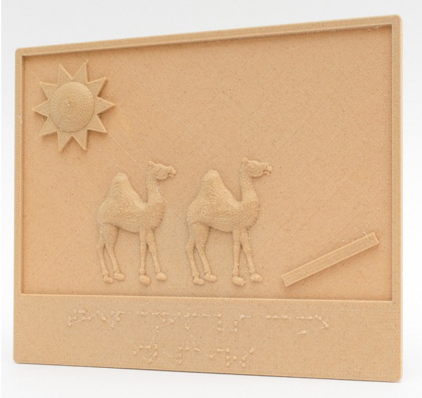 3D printed books by Tactile Picture Books