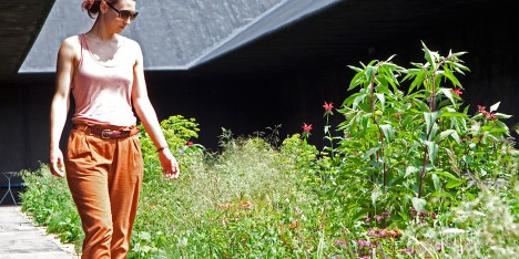 Serpentine Gallery Pavilion 2011 by Peter Zumthor