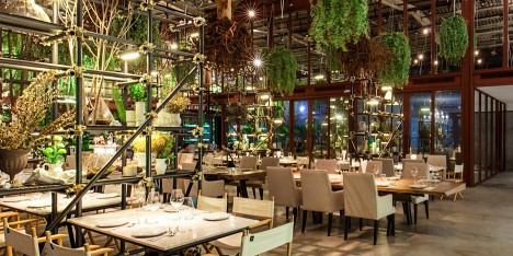 Vivarium restaurant in Bangkok by Hypothesis