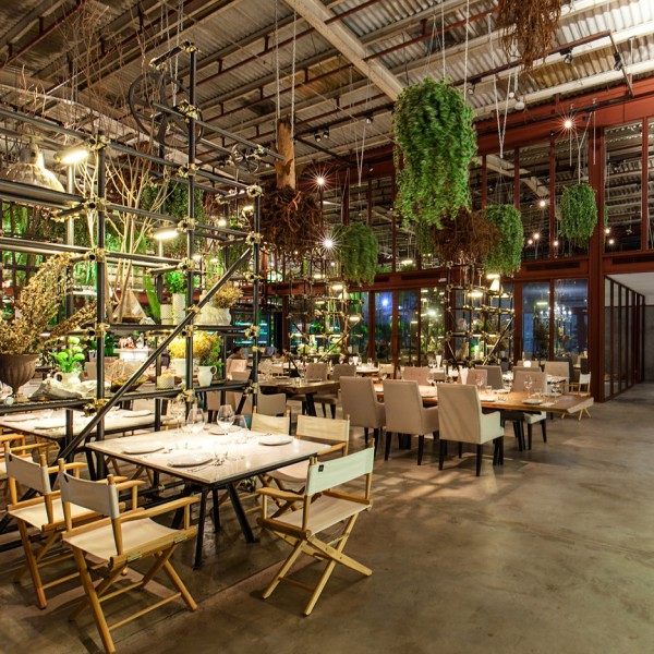 Vivarium restaurant in Bangkok by Hypothesis