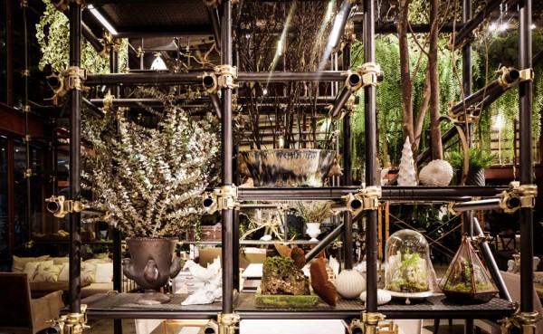 Vivarium restaurant in Bangkok by Hypothesis