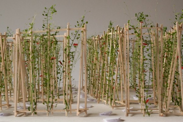 Installation for the International Garden Festival in Quebec
