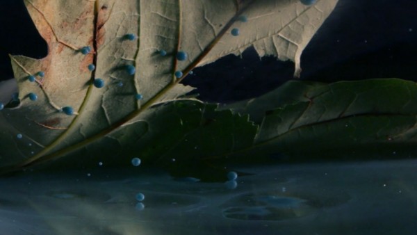 Levitation by Marle Thomson