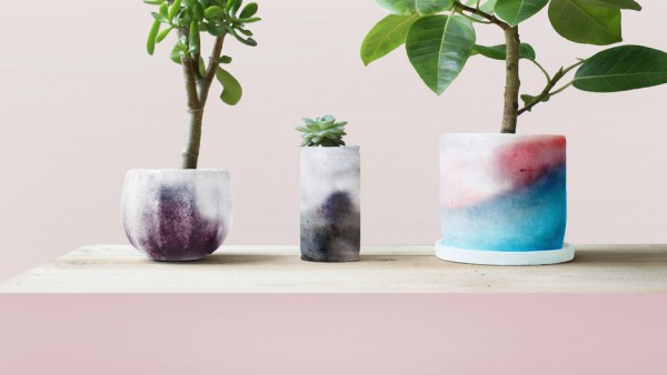 Lexus Design Award 2016 Plants-Skin by Hiroto Yoshizoe