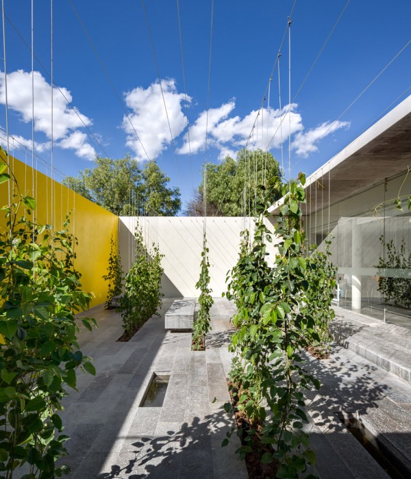 Next Vegetales Hydroponic Plant by CC Arquitectos in León, Mexico