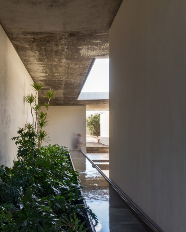 Next Vegetales Hydroponic Plant by CC Arquitectos in León, Mexico