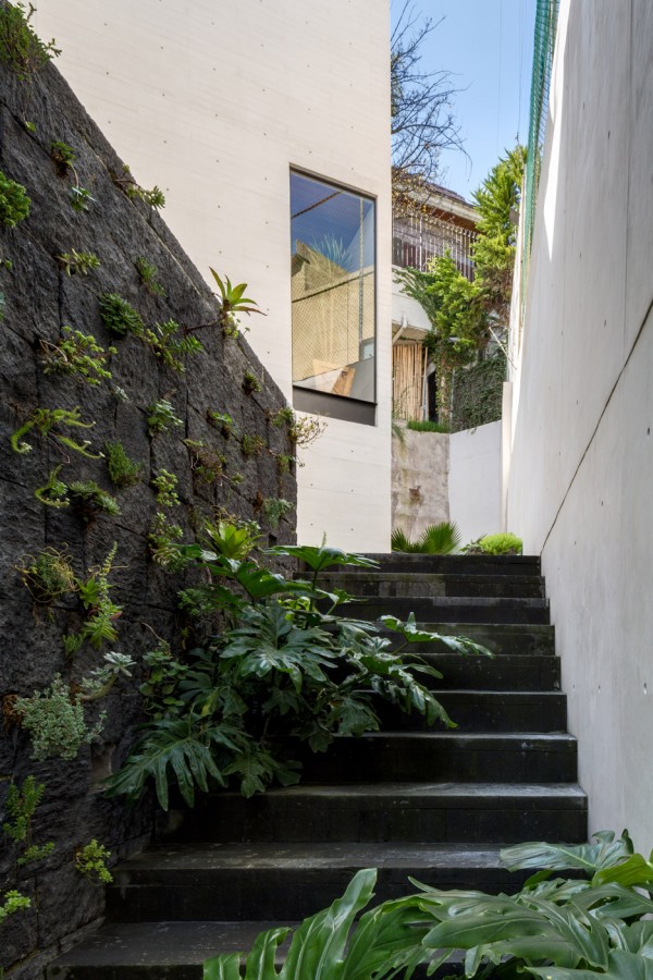 S House by Taller Hector Barroso