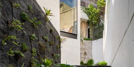 White concrete house by Taller Hector Barroso surrounds a tranquil pool