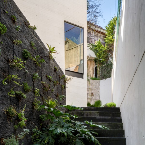 White concrete house by Taller Hector Barroso surrounds a tranquil pool
