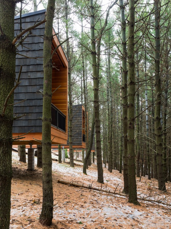 Whitewail Woods cabins by HGA