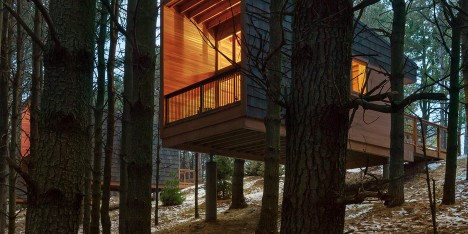 Whitewail Woods cabins by HGA