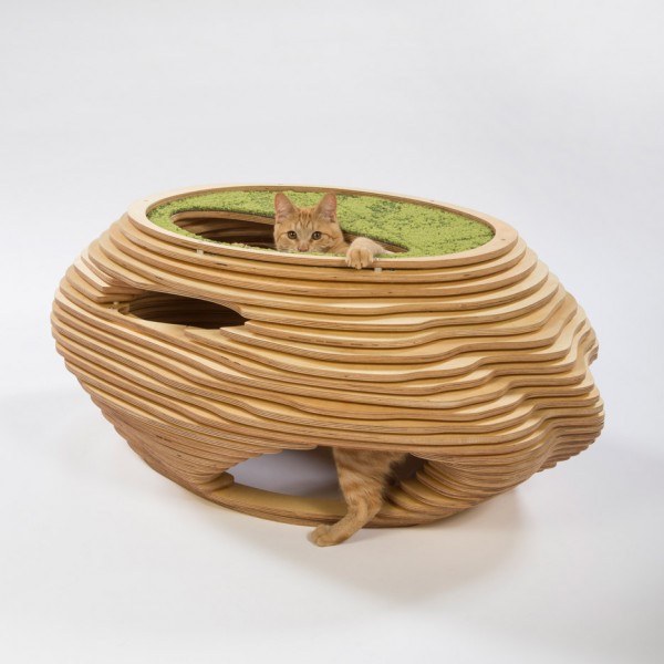 Cat in the Fish Bowl by Abramson Teiger Architects