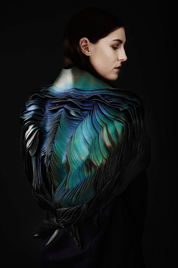 The Bird from the Air collection by The Unseen, 2014