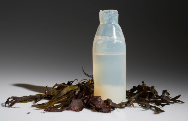 Algae water bottle by Ari Jonsson