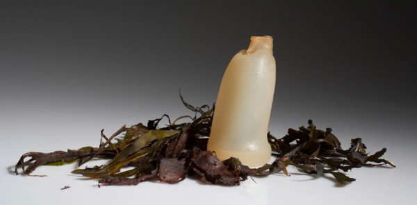 Algae water bottle by Ari Jonsson