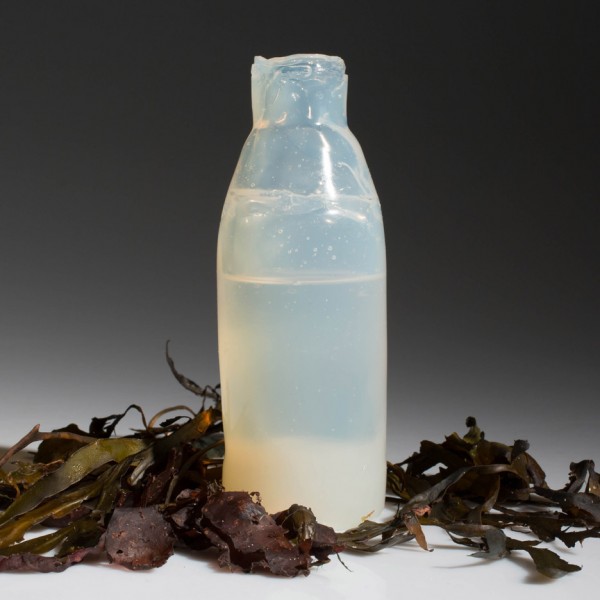 Algae water bottle by Ari Jonsson