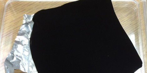 Anish Kapoor gets rights to blackest pigment