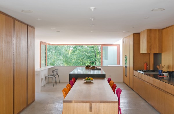 Bala Line House by Williamson Chong Architects