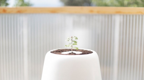 The Bios Incube designed by Bios Urn in Barcelona, Spain
