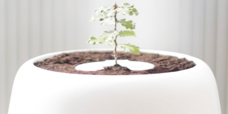 The Bios Incube designed by Bios Urn in Barcelona, Spain