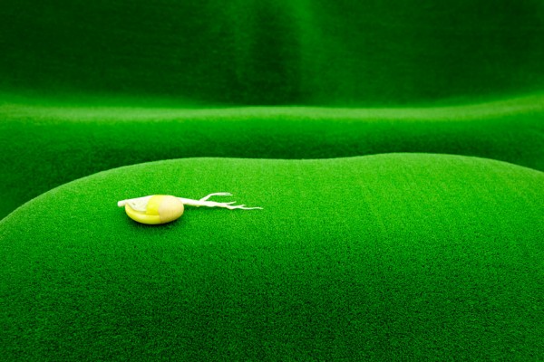 Botanical by Japanese artst Azuma Makoto for Capsule #5 exhibition at Chamber in New York, USA