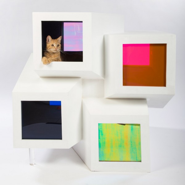 Catleidoscope by Perkins & Will