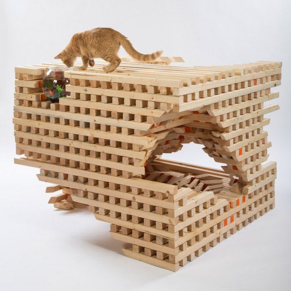 CatSCAPE by HOK